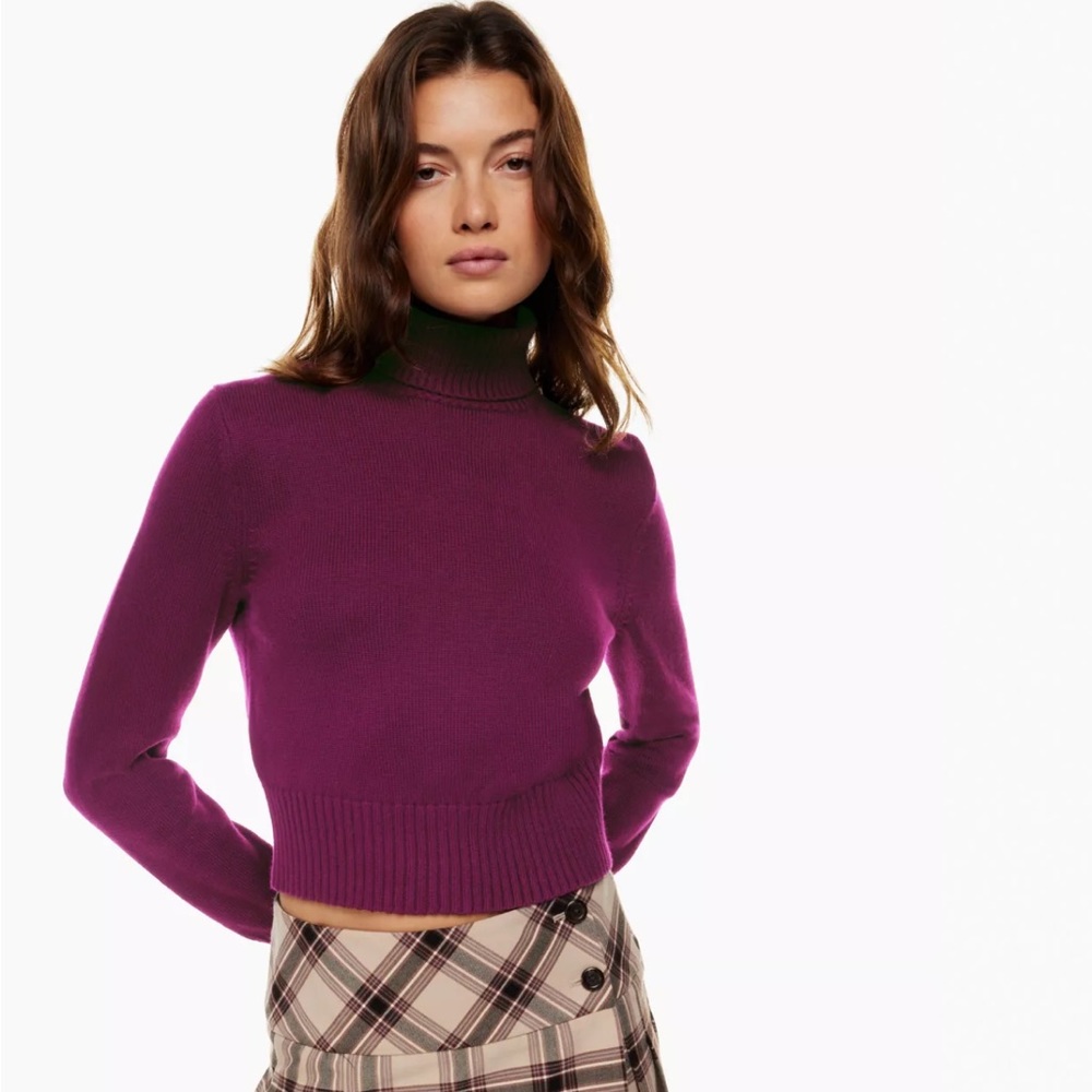Aritzia Purple Turtleneck Sweater
